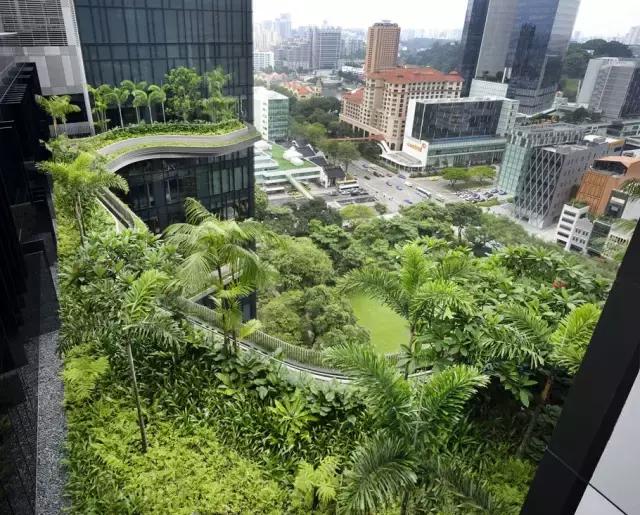 湖南草字頭生態環境建設有限公司,人造草坪假草皮,湖南雨水收集處理工藝