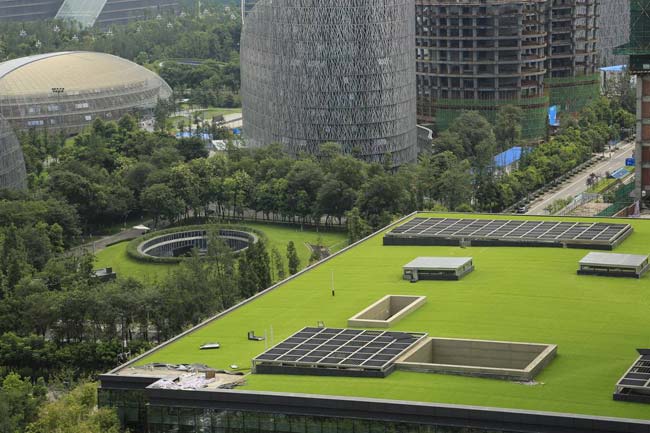 湖南草字頭生態環境建設有限公司,人造草坪假草皮,湖南雨水收集處理工藝