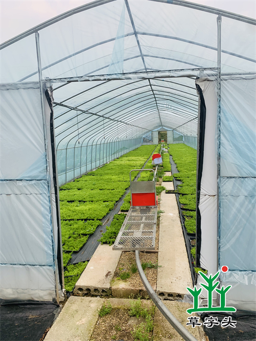 湖南草字頭生態環境建設有限公司,人造草坪假草皮,湖南雨水收集處理工藝